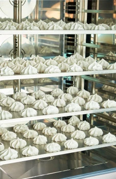 Печь электрическая конвекционная КЭП-16П-01